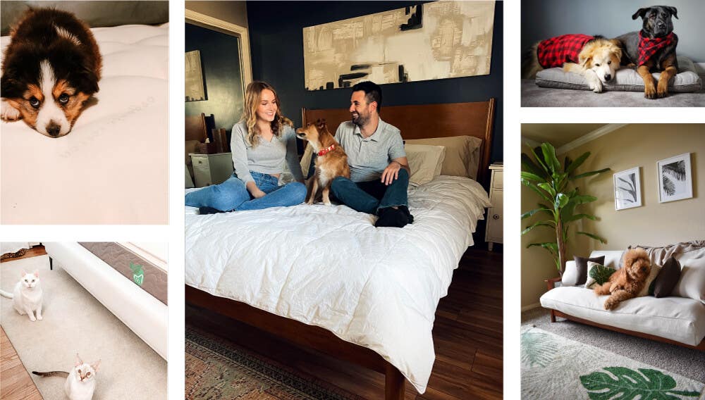 4th of July Mattress Sale