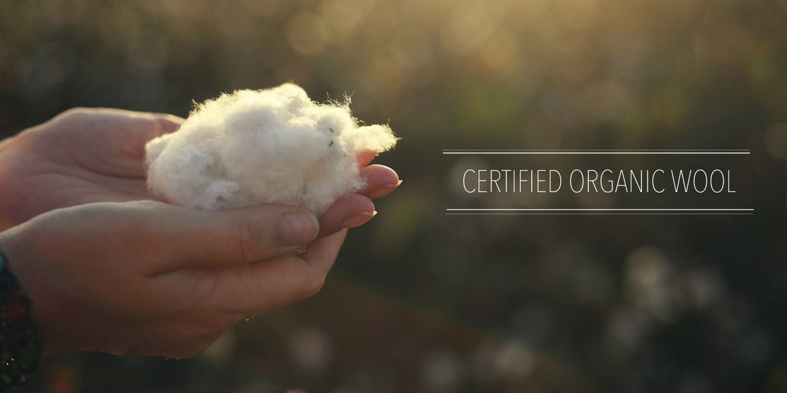 What Does Certified Organic Mean? | TFS Natural Home