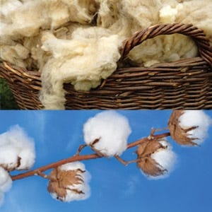 Tufted vs Untufted Mattresses