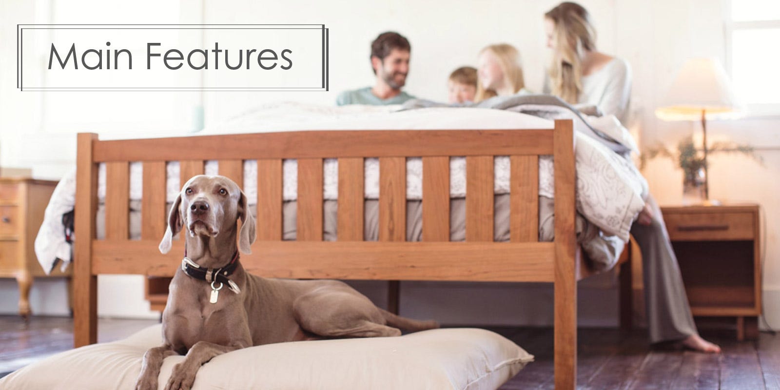 Why Organic Mattresses Are Better?