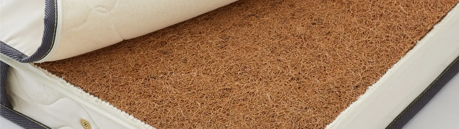 What Is Coir Fiber?