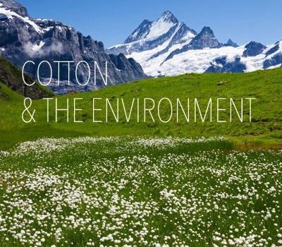 What Are The Negative Effects Of Cotton Farming?