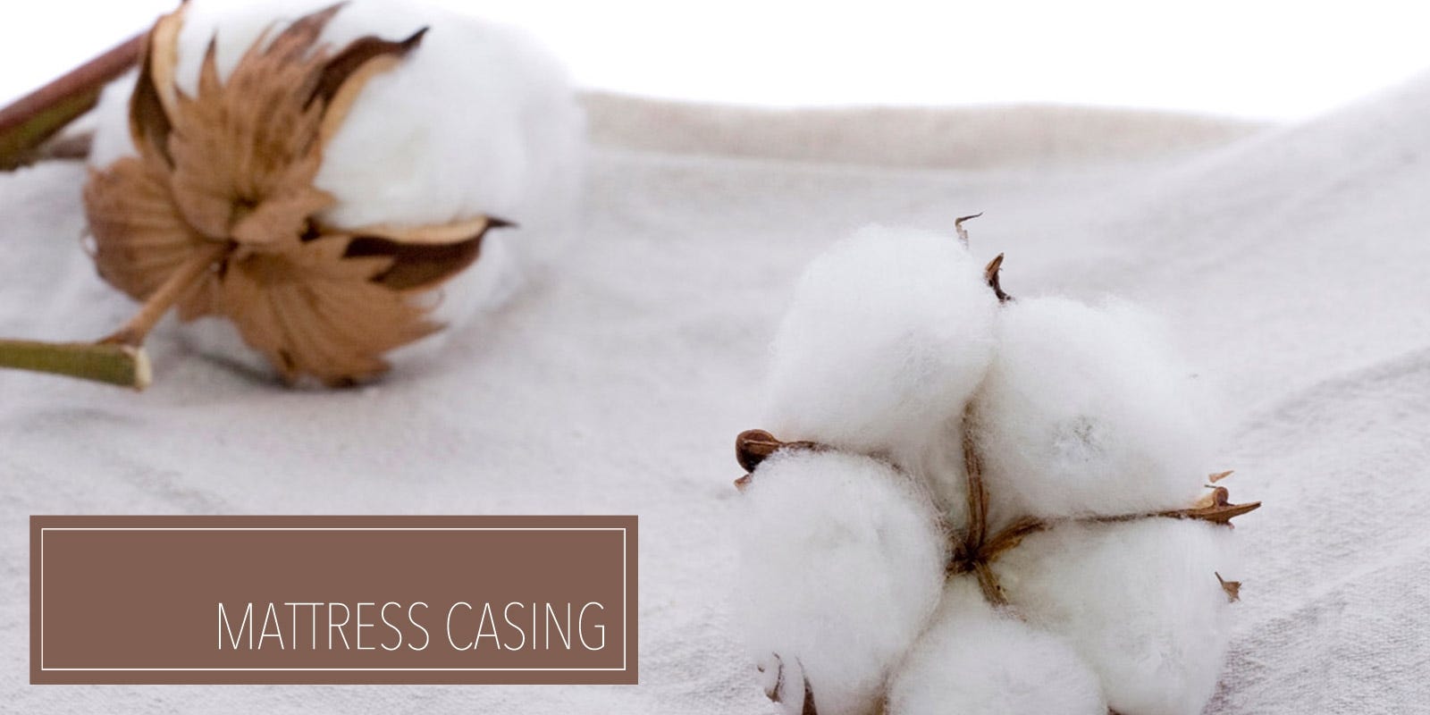 Why Organic Mattresses Are Better?
