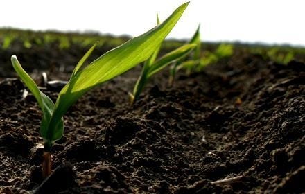 Why Is Organic Cotton Production Important?