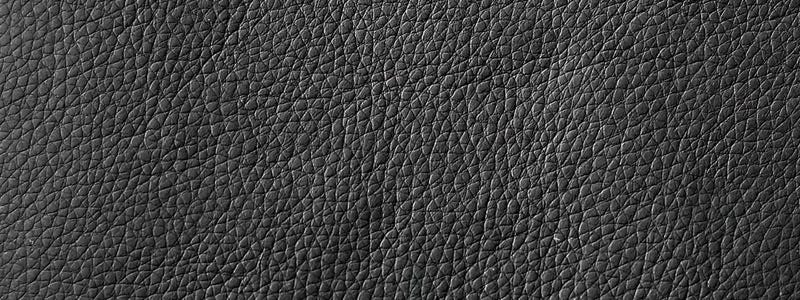 White Leather Futon vs. Black Leather Futon