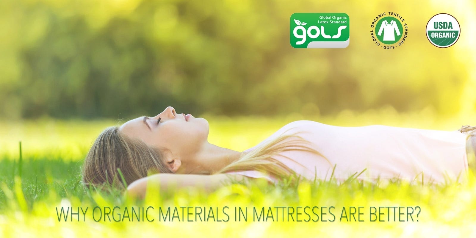 What Are The Benefits of Going Organic?