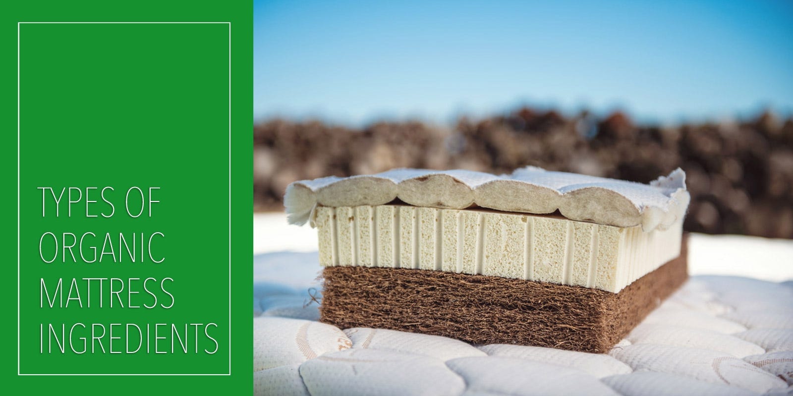 Why Organic Mattresses Are Better?