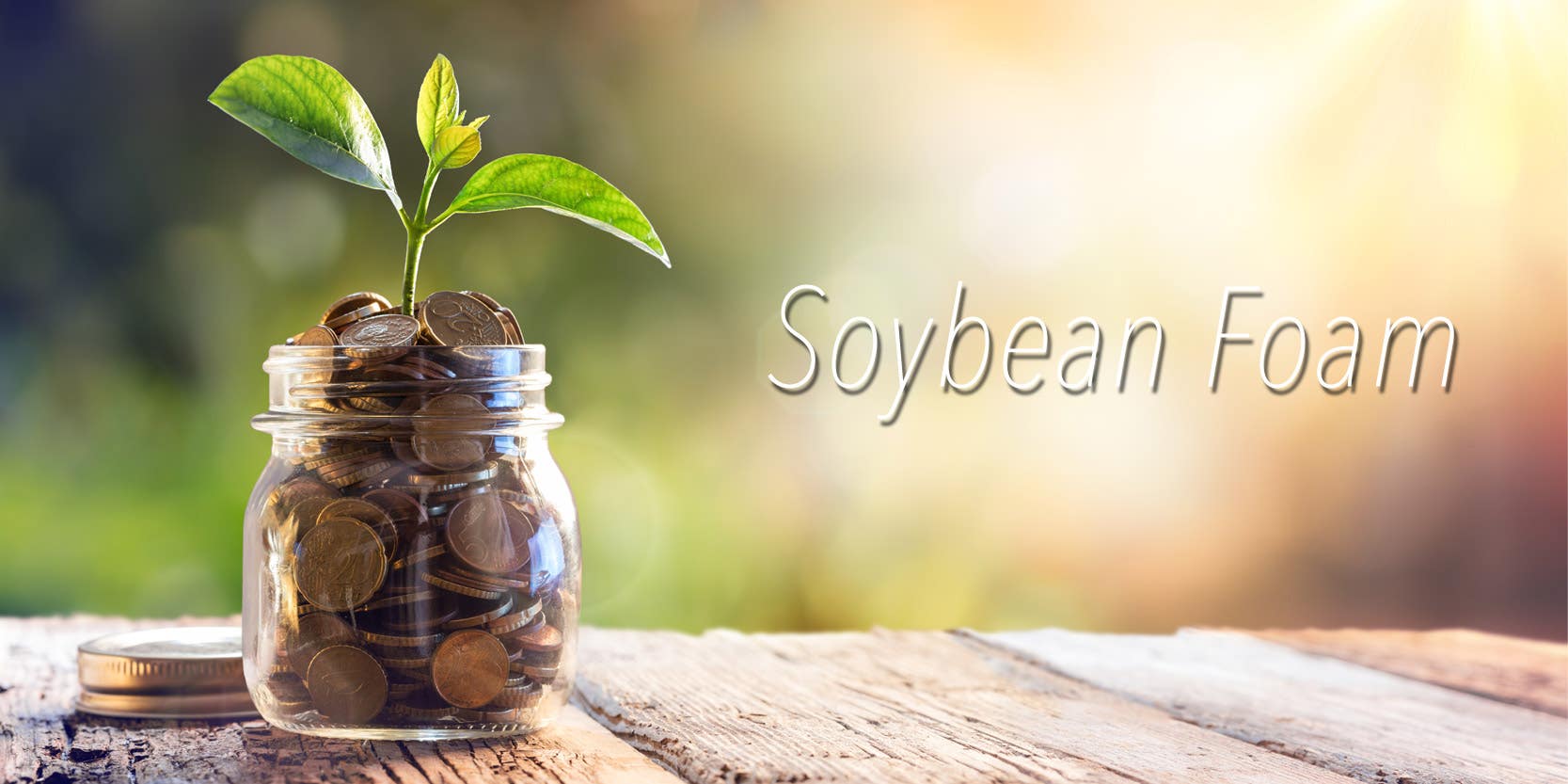 What Is Plant Based Soy Foam?