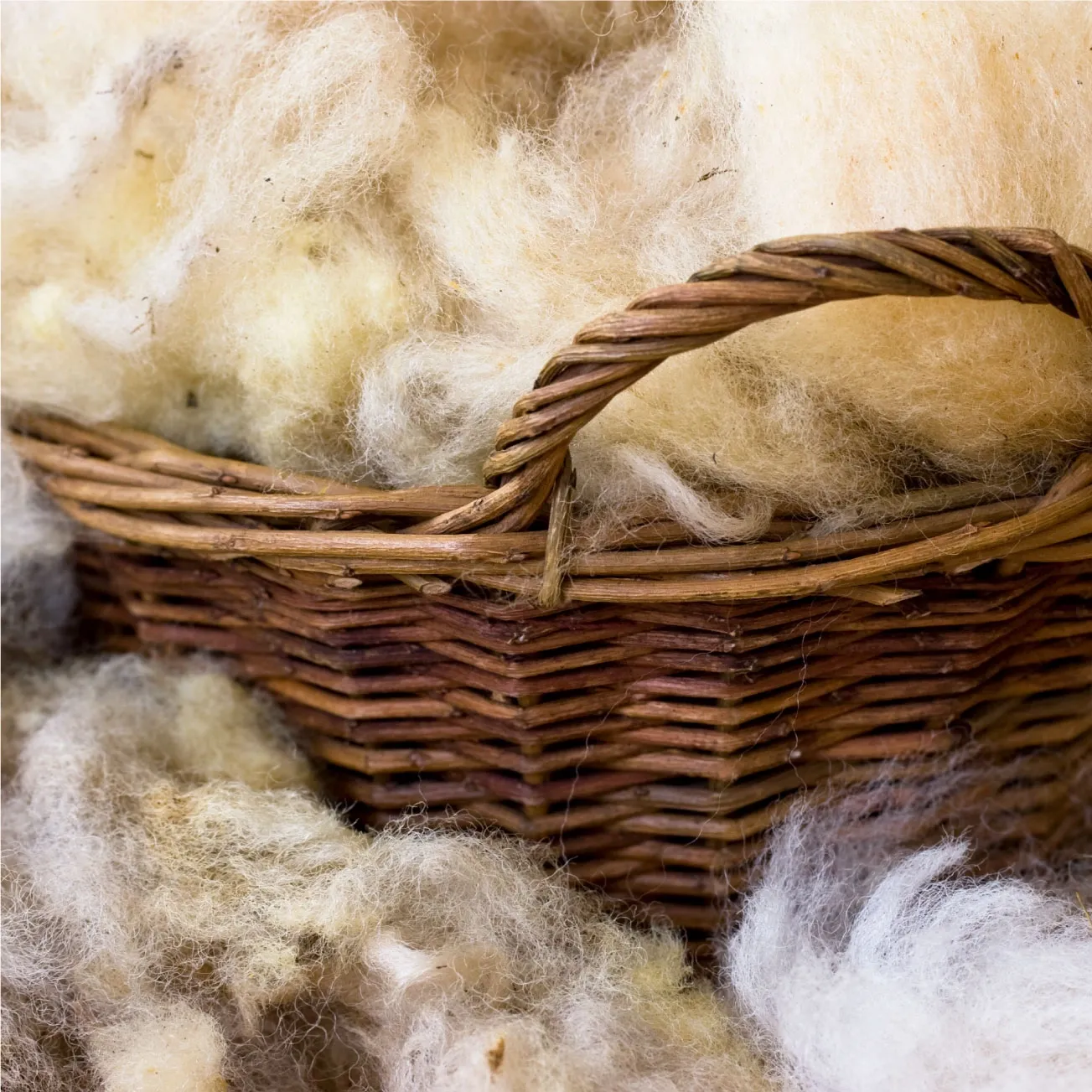 organic wool futon mattress