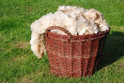 Where Does Wool Come From?