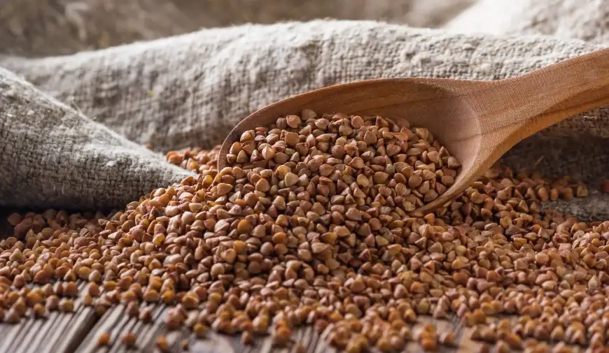 buckwheat_1