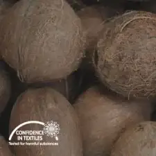 coconut-Image-6