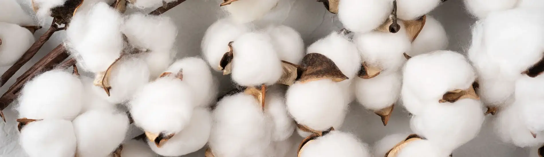 all cotton futon mattress