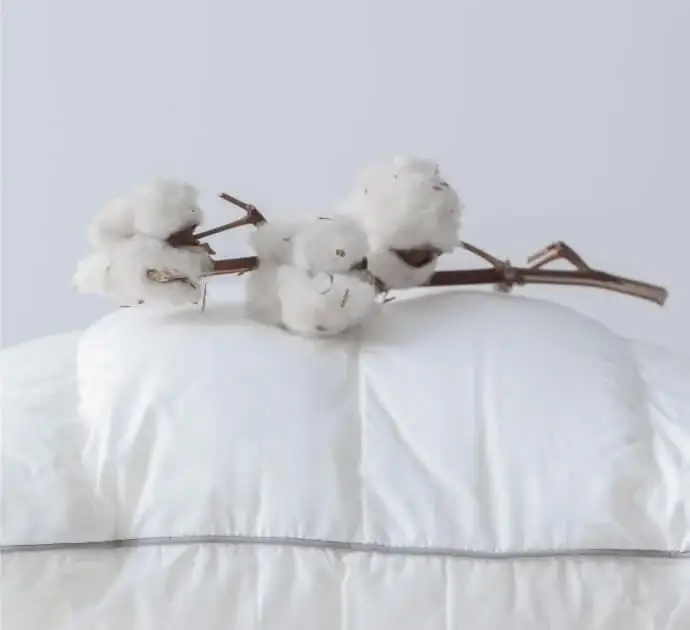 what is organic cotton pillow