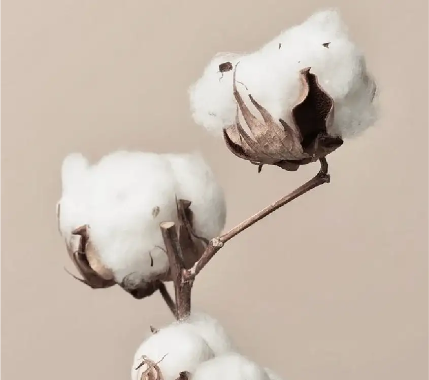 cotton-benefits