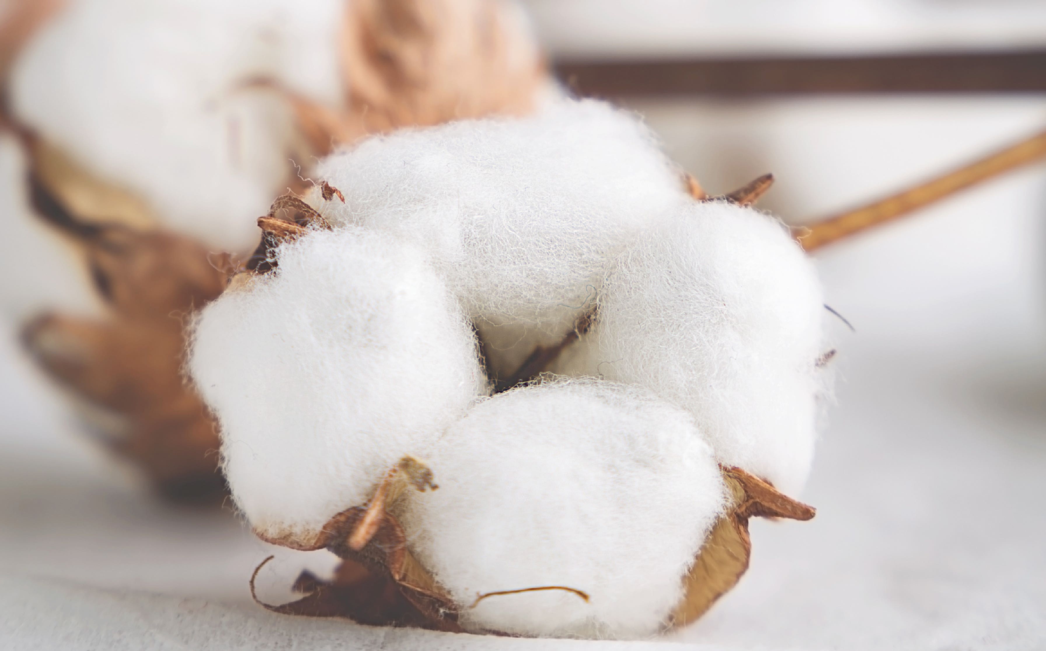 How To Choose The Perfect Throw Pillows?