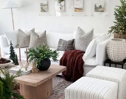 Organic Sofas