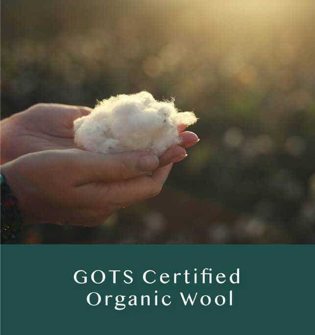 GOLS_LATEX_ORGANIC