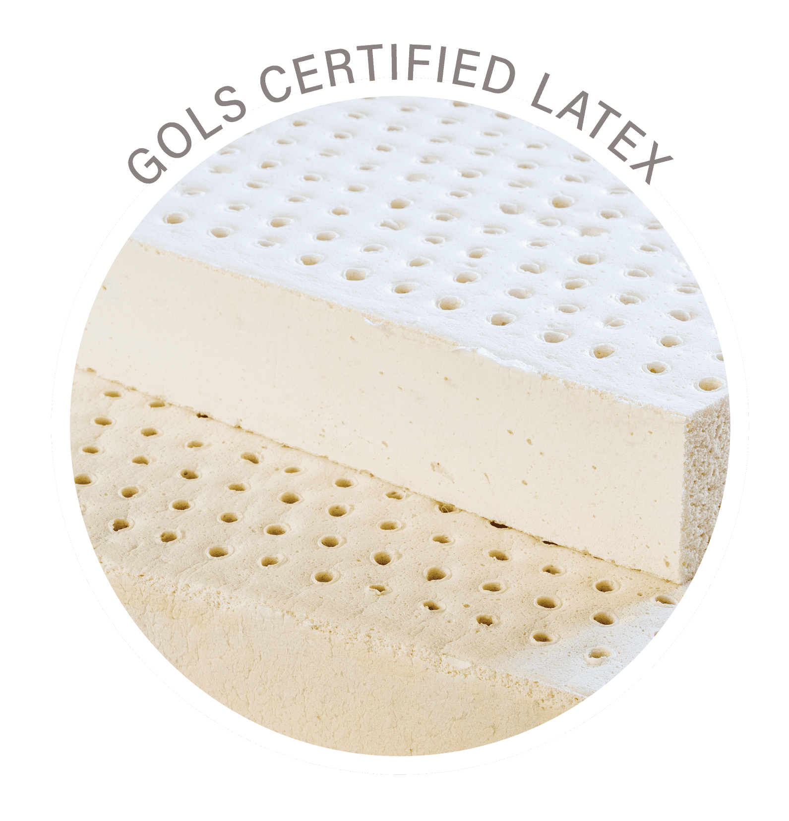GOLS_ORGANIC_LATEX