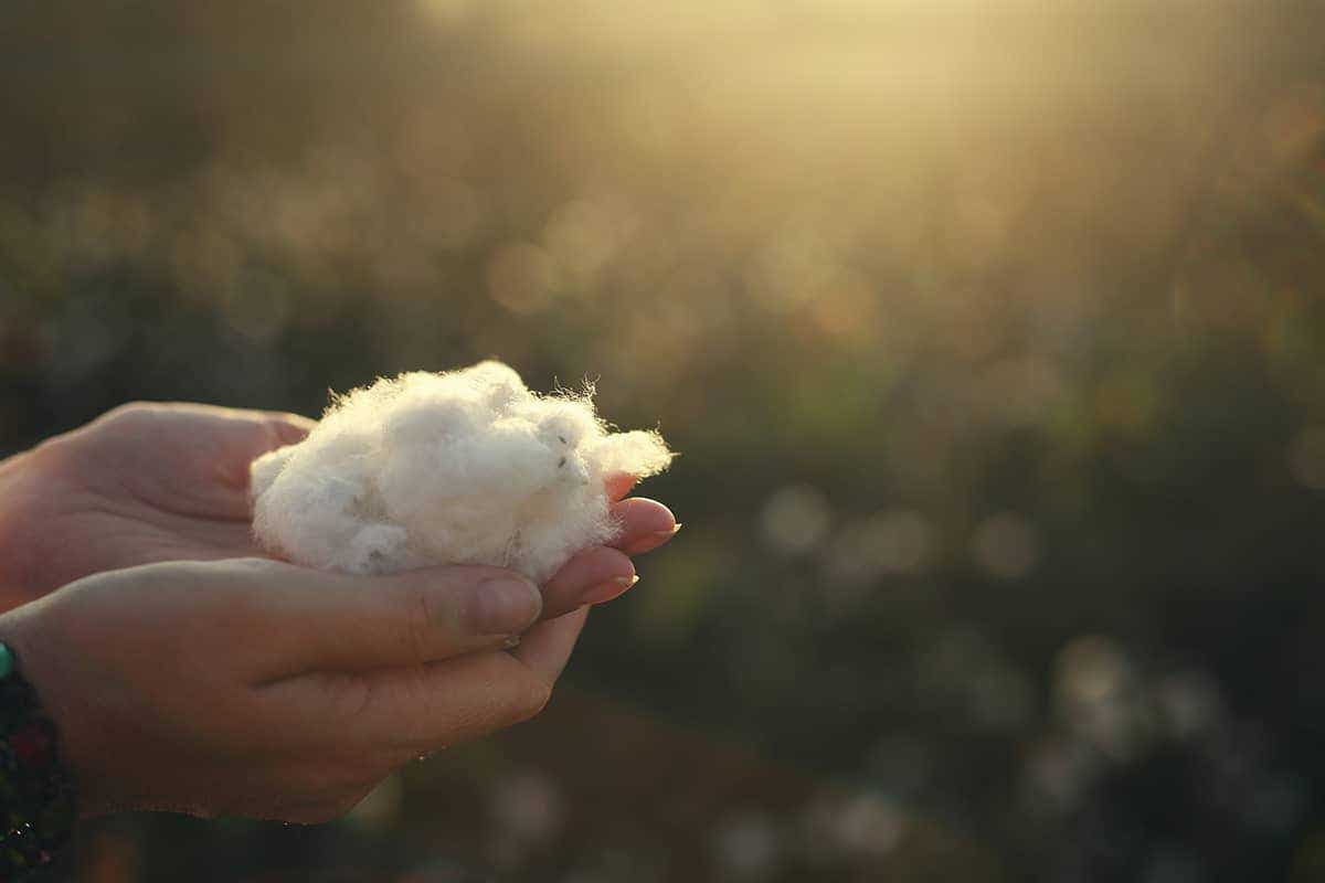 Wool Mattress Wool Mattress