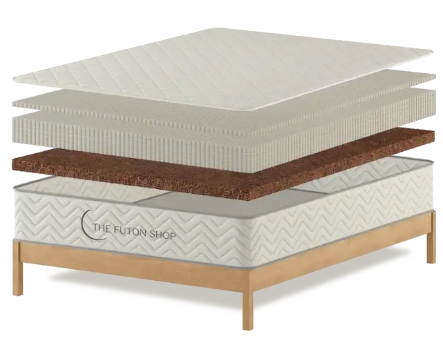 ecorestmax-layer1_11