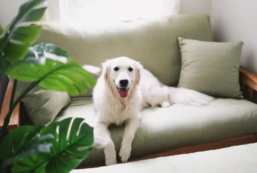 How_to_decorate_a_bedroom_with_organic_furniture_futon