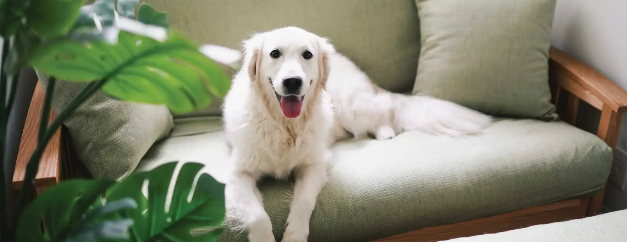 How to Clean Your Futon Mattress