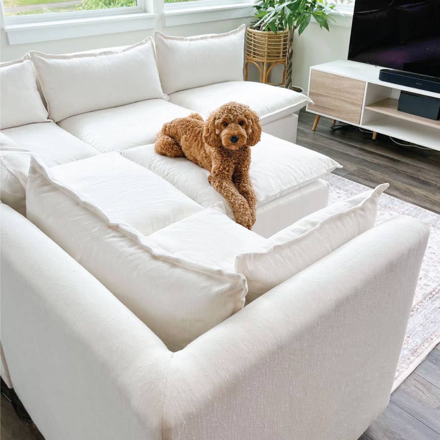 The Best Hemp Sustainable Furniture