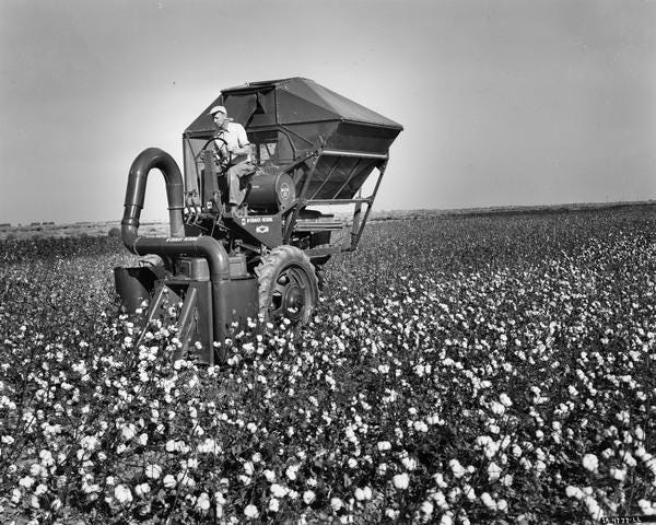 How Is Cotton Harvested?