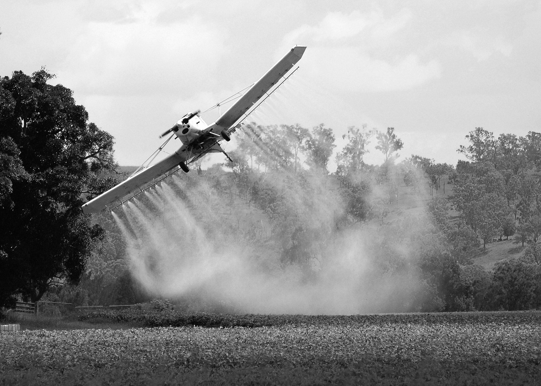 What Are The Negative Effects Of Cotton Farming?