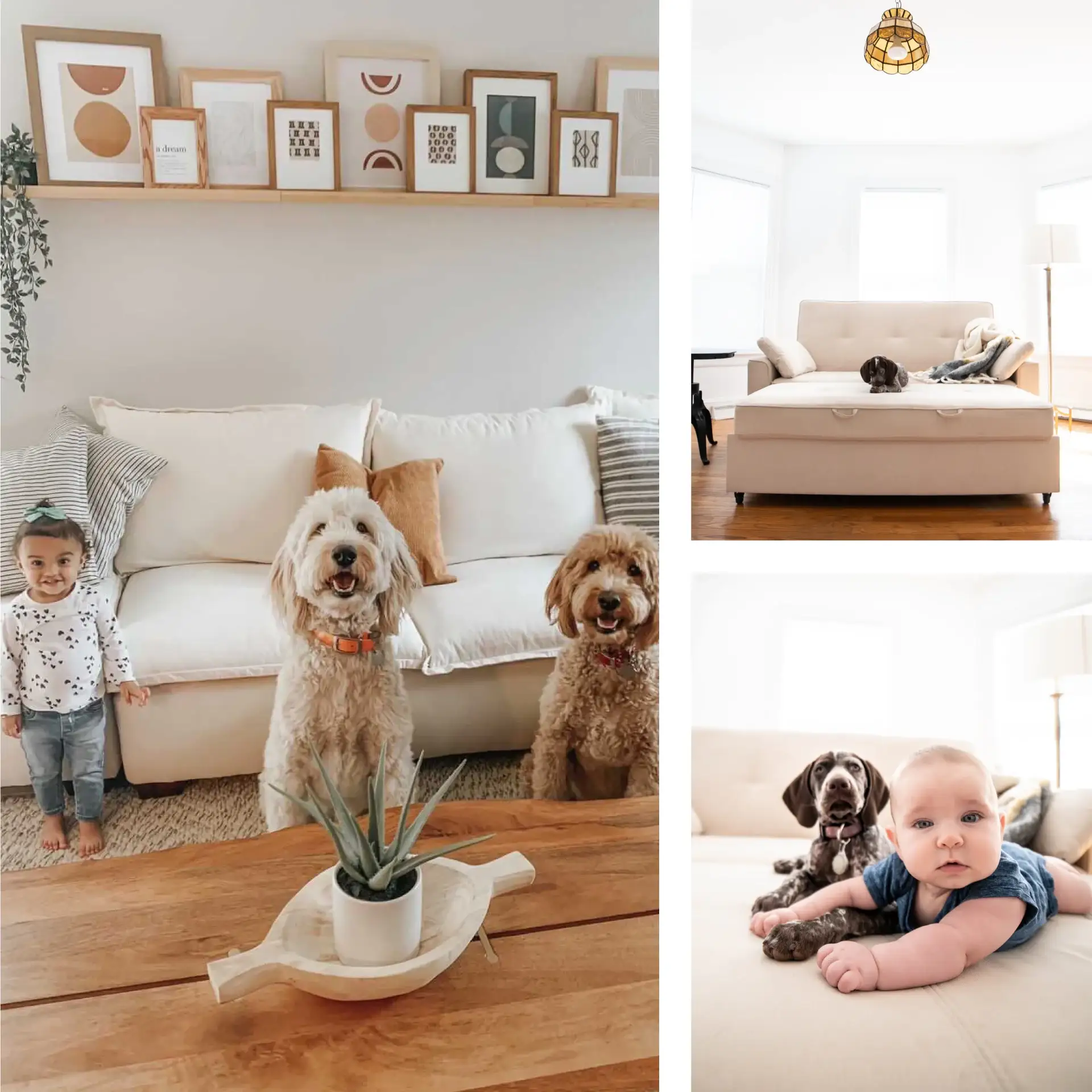 Black friday cyber monday sale kidroom