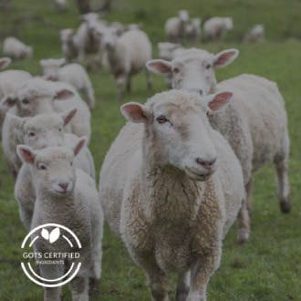 Organic Wool_1