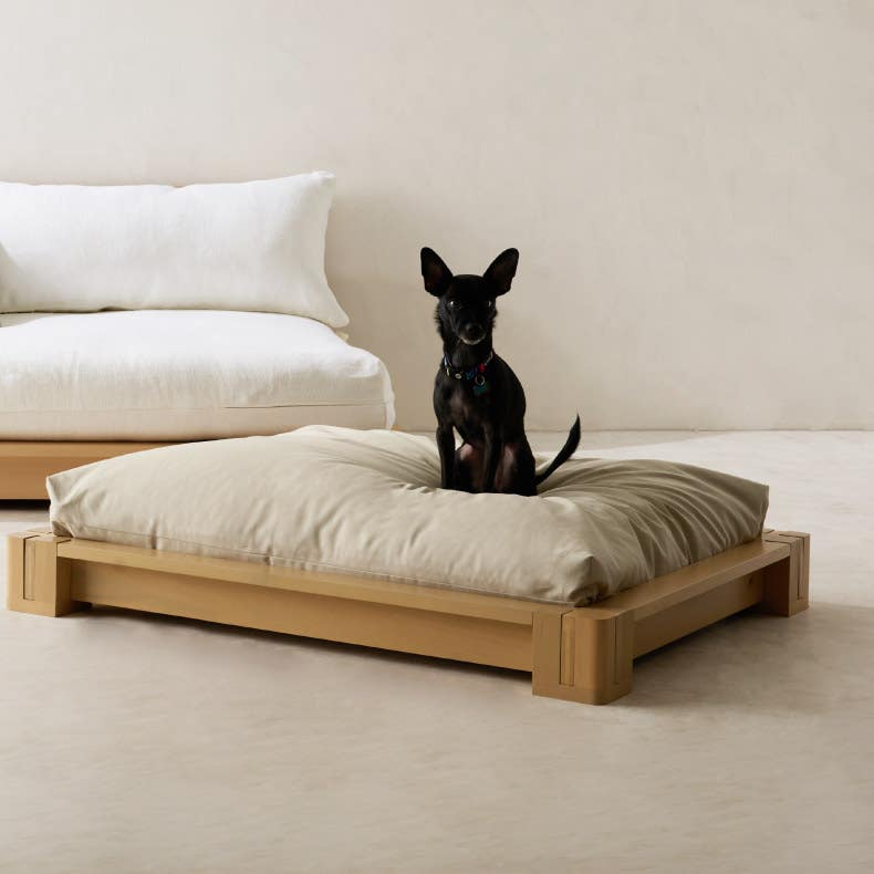 Why Choose the Samurai Bed?