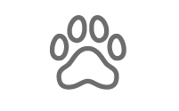 Pet-Safe and Eco-Friendly