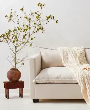 clearacne-futon-mattresses