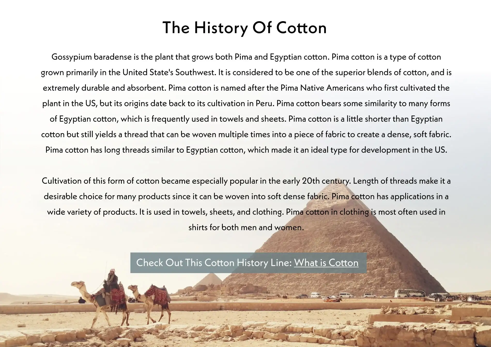 why is organic cotton better history