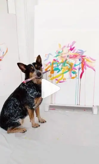 Look_Inside_Contemporary_Artist_Kate_Tova’s_Studio_reel_3