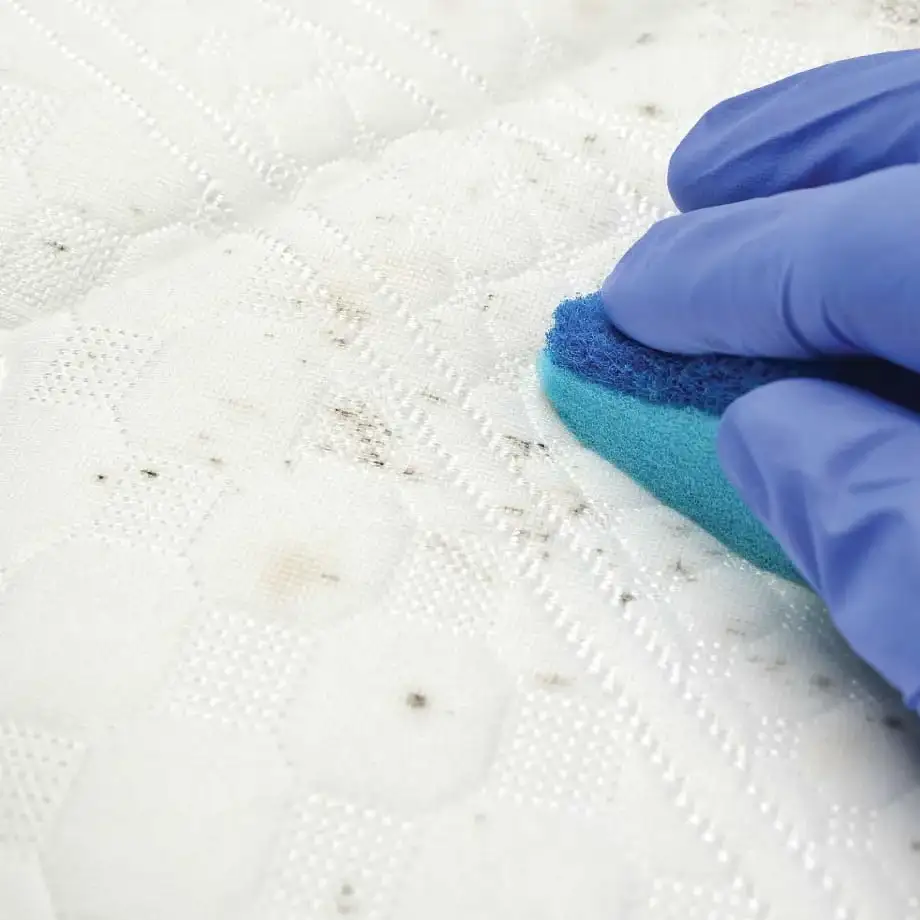 How to Clean Your Futon Mattress wet