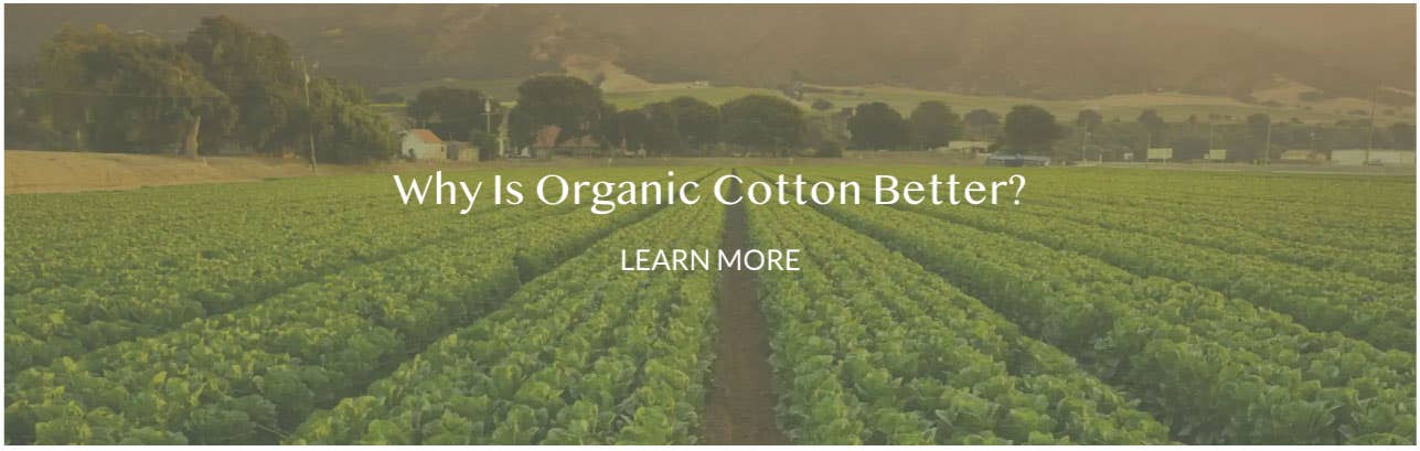 is organic cotton better than natural cotton