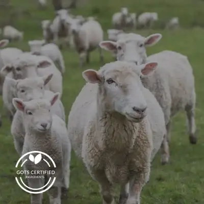 what is a quilted mattress wool